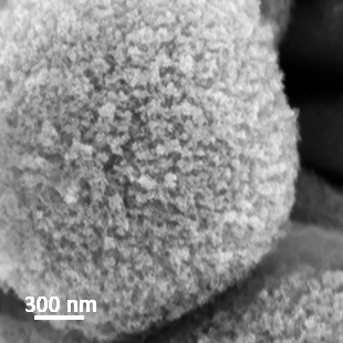 Nano implant - bone bonding